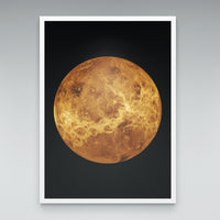 Venus print in an elegant white frame