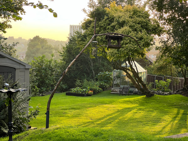 Skylit Studio garden with greenhouse