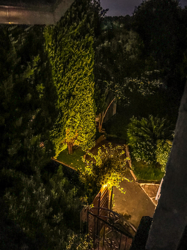 Skylit Studio garden at night