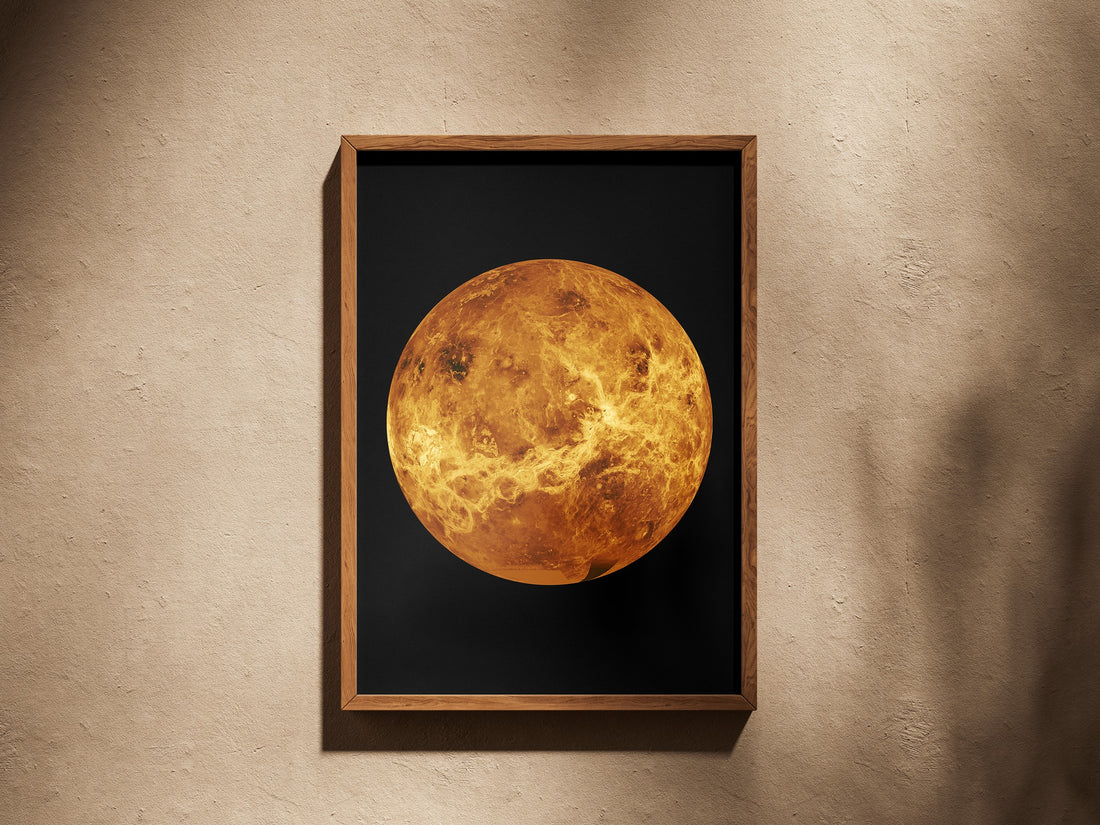 Venus print in a wooden frame on a plaster wall