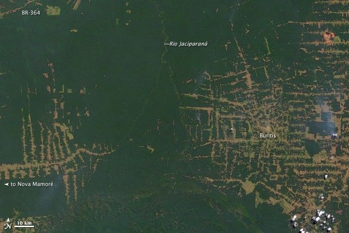 Amazon rainforest in Rondonia, 2000