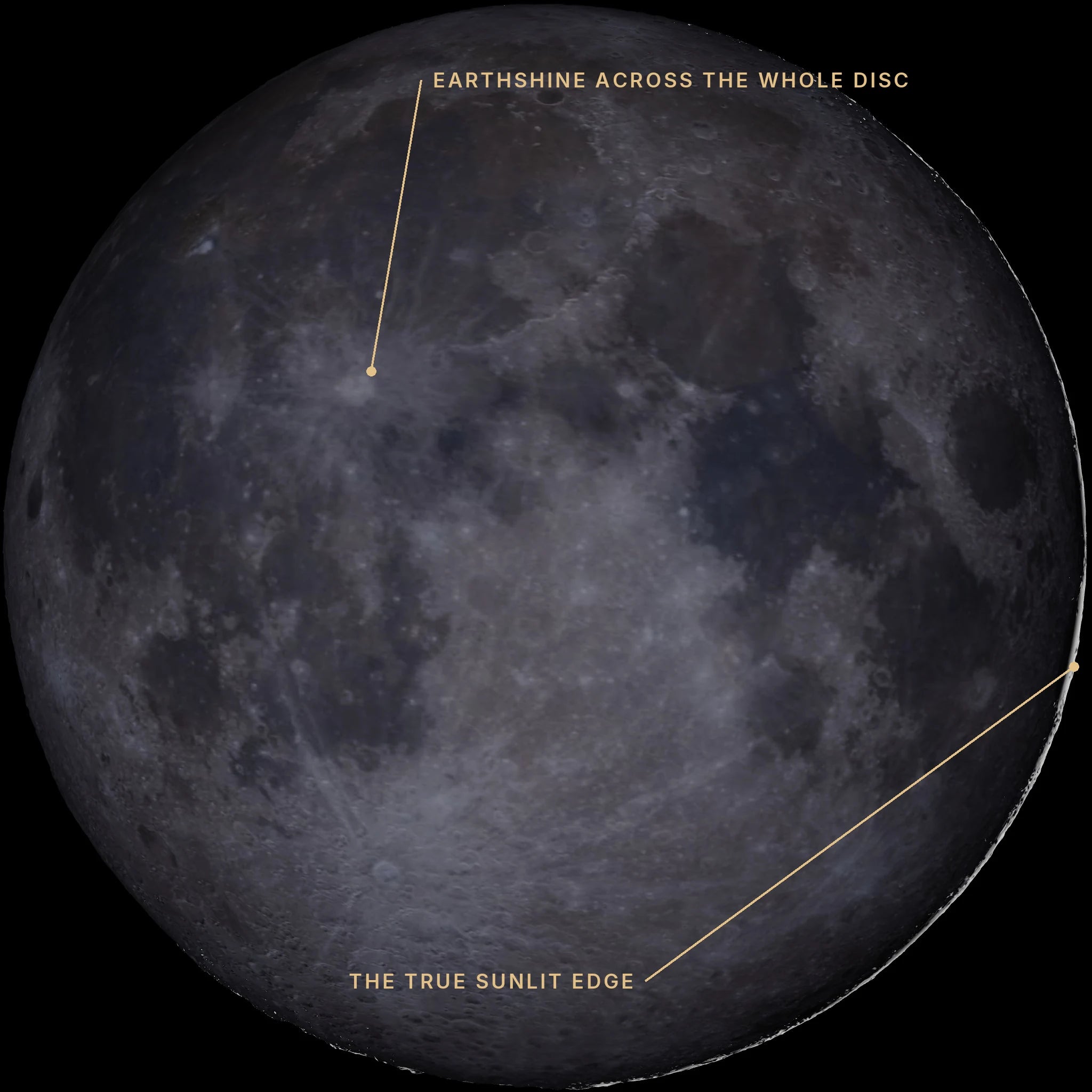 A Skylit Studio new moon render. The whole disc is dimly lit by earthshine, and a thin bright crescent traces the right-hand rim, roughly at mid-height, where the Sun struck the Moon directly.