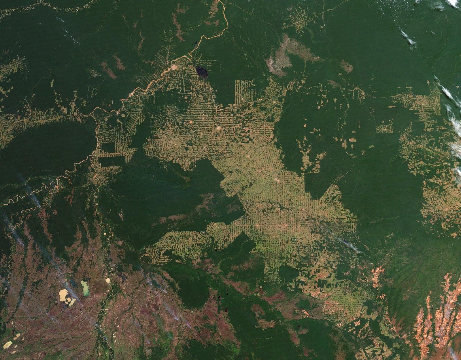 Satellite image of Rondonia, Brazil, showing the geometric fishbone pattern of deforestation branching from roads into dense rainforest canopy
