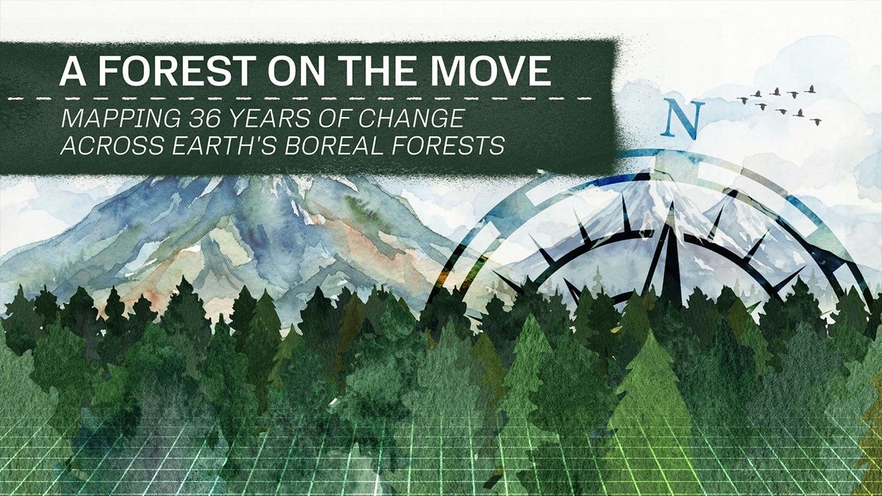 Satellite image of the boreal forest taken from orbit, showing the vast green expanse of the world's largest forest biome